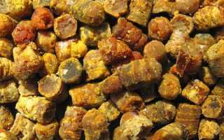 Полезные свойства пчелиной перги и правила применения продукта