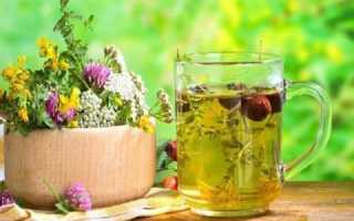 Лекарственные растения от сахарного диабета: насколько они эффективны? Рецепты народной медицины, не только снижающие сахар, но и устраняющие последствия диабета