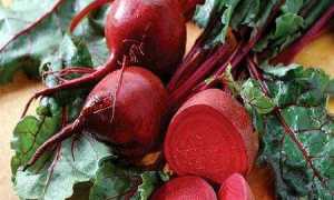 Можно ли при сахарном диабете есть свеклу и повышает ли она сахар в крови?