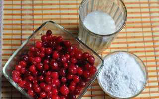 Польза и вред киселя для организма, применение напитка в лечебных целях