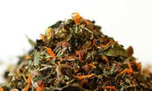 Травяные сборы при панкреатите: аптечные травы для лечения поджелудочной железы