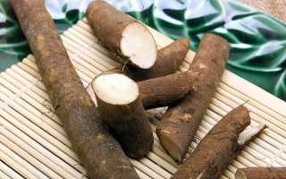 Полезные свойства корня лопуха и противопоказания к его применению