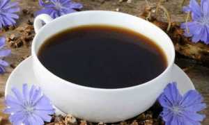 Цикорий: можно ли пить при панкреатите?