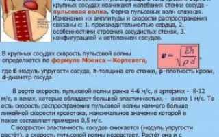 Что означает высокая амплитуда пульсового кровенаполнения?