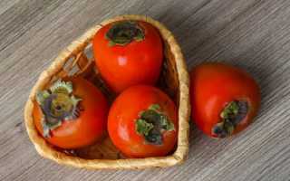 Состав и свойства хурмы, ее польза и вред при беременности