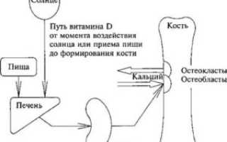 Проблемы с почками из-за приема витамина Д
