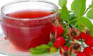 Отвар из шиповника при лечении панкреатита: как приготовить и пить напиток?