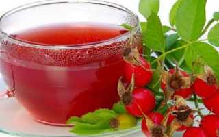 Отвар из шиповника при лечении панкреатита: как приготовить и пить напиток?