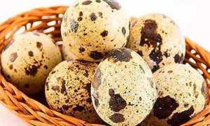 Яйца перепелов при панкреатите