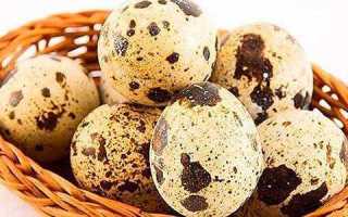 Яйца перепелов при панкреатите