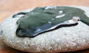 Мумие в лечении поджелудочной железы