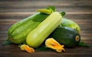 Блюда из кабачков для диабетиков