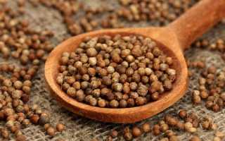 Кинза или кориандр? Все о полезных свойствах и применении зелени и плодов