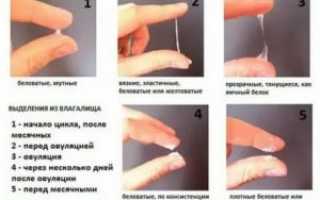Выделения в середине цикла
