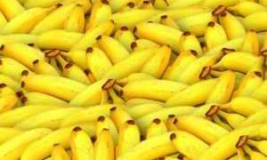 Сколько сахара содержится в банане