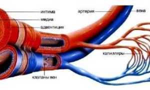 Диабетическая ангиопатия