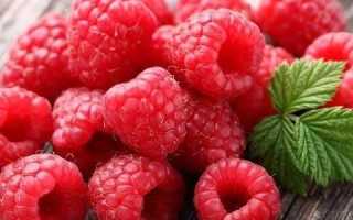 Можно ли при панкреатите есть малину?