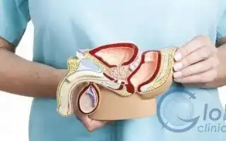 Диабет и проблемы с потенцией у мужчин. Диабет и импотенция