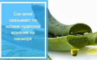 Можно ли вылечить насморк каплями из сока алоэ