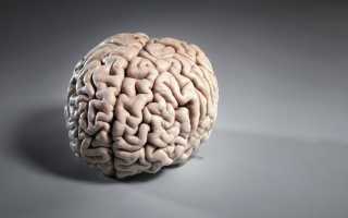 Глиозные изменения головного мозга — симптомы, причины и как лечить заболевание?