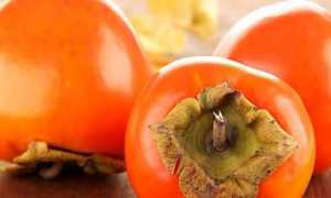 Употребление хурмы при панкреатите: ограничения и разрешенный порцион