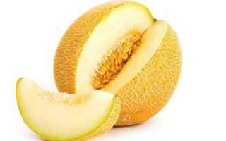 Можно ли есть дыню и арбуз при панкреатите