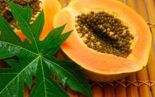 Свойства папайи, ее польза и вред для здоровья