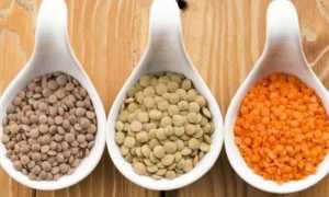 Чечевица при воспалении поджелудочной железы: польза или вред?