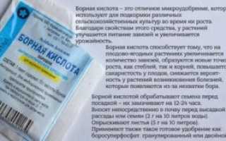 Ребенок проглотил шарик с борной кислотой