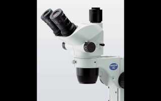 SZ51 Роль стереомикроскопов в современной лабораторной практике