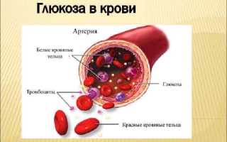 Глюкоза в крови: что это такое и зачем она нужна
