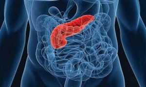Какой орган вырабатывает инсулин? Функции поджелудочной железы, причины нарушения работы органа
