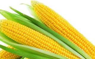 Использование кукурузы и ее продуктов при панкреатите