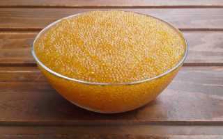 Состав и польза щучьей икры, ее возможный вред