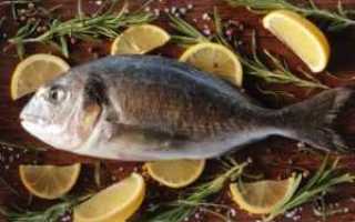 Рецепты с рыбой для диабетиков список разрешенной рыбной продукции