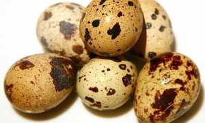 Торты для диабетиков