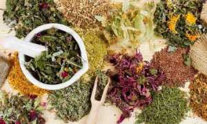 Народные средства от диабета 2 типа: как освободиться от лишнего сахара в крови навсегда