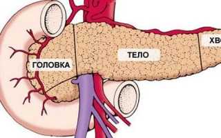 Анатомия и патологии головки поджелудочной железы