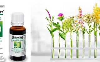 Какие патологии ЖКТ можно лечить Иберогастом?