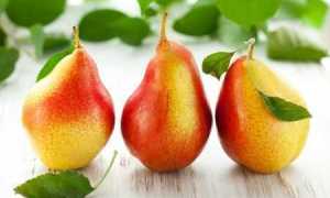 Можно ли кушать грушу диабетикам и повышает ли она сахар в крови больного?