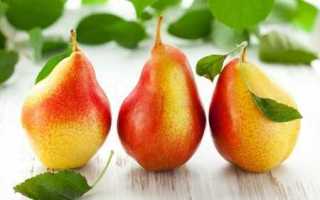 Можно ли кушать грушу диабетикам и повышает ли она сахар в крови больного?