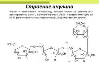 Польза и вред инулина при регулярном употреблении