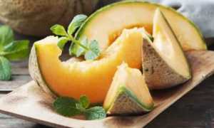 Дыня при сахарном диабете 2 типа: польза и вред солнечной ягоды