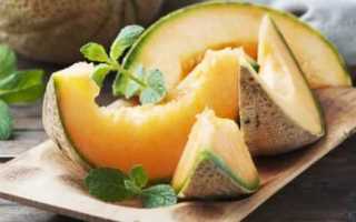 Дыня при сахарном диабете 2 типа: польза и вред солнечной ягоды