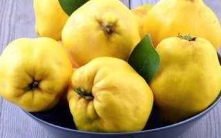 Можно ли при панкреатите есть айву?