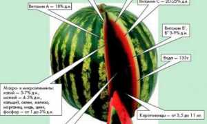 Арбуз при сахарном диабете