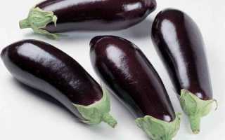 Польза и вред баклажанов для здоровья взрослых и детей