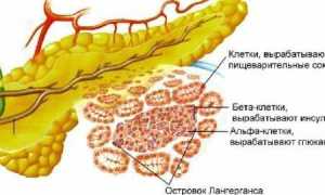 Лекарства для лечения панкреатита