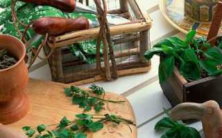 Народные средства, эффективные при панкреатите и холецистите