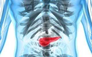 Какие виды функций выполняет поджелудочная железа?